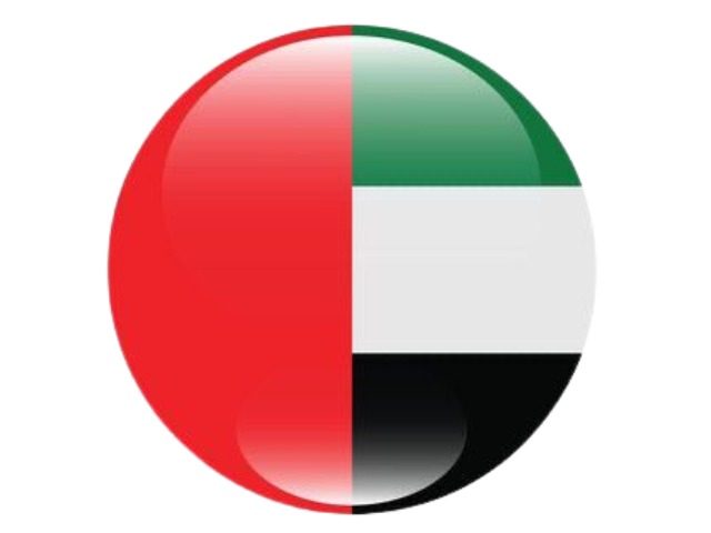 UAE Flag